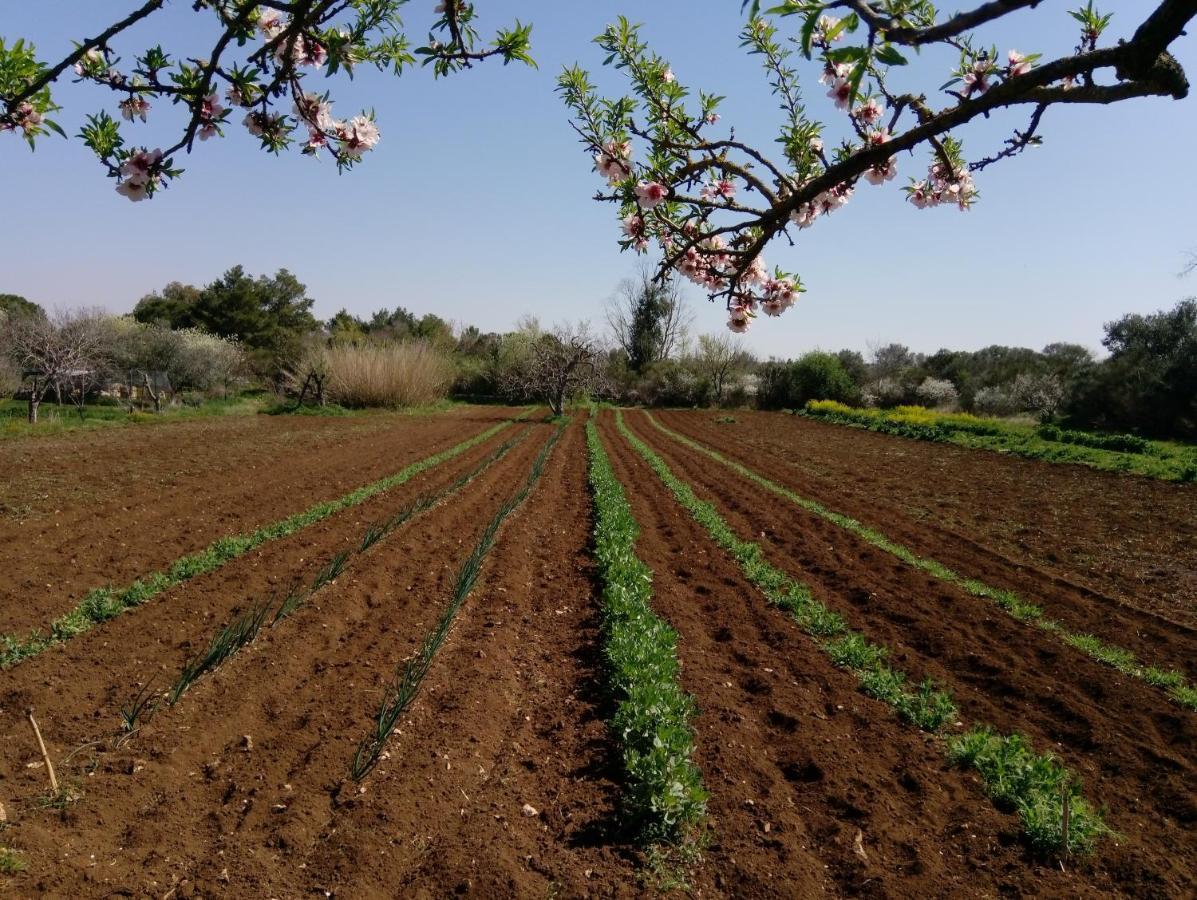Agriturismo Poggio Ferrata Ruvo di Puglia Zewnętrze zdjęcie
