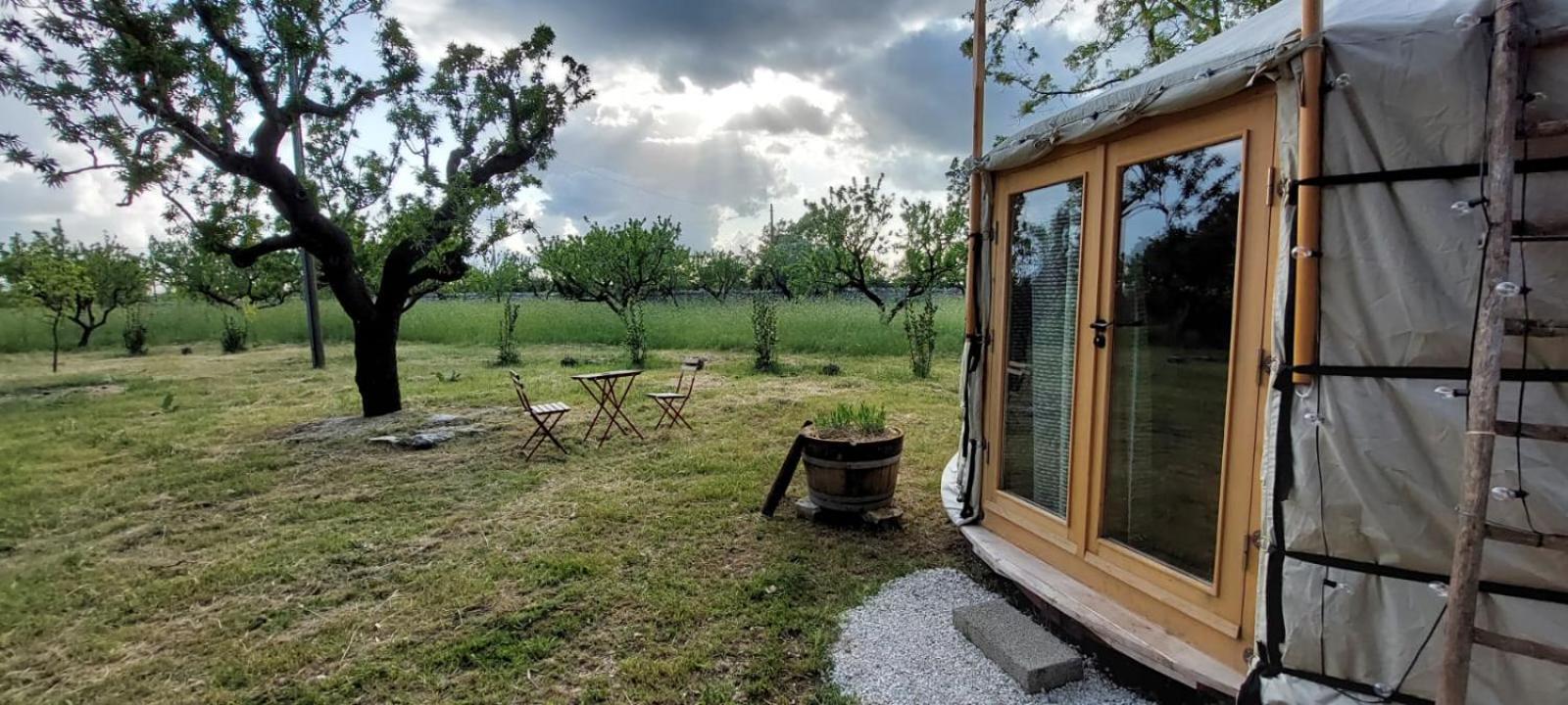 Agriturismo Poggio Ferrata Ruvo di Puglia Zewnętrze zdjęcie